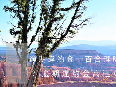 逾期違約金一百合理嗎，是否合理？逾期違約金高達(dá)100元引發(fā)爭議